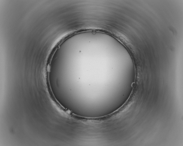 X0000113040942200909101915