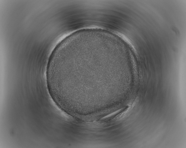 X0000113040943200909101915