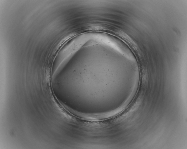 X0000113040945200909101915