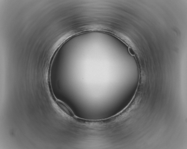 X0000113040946200909101915