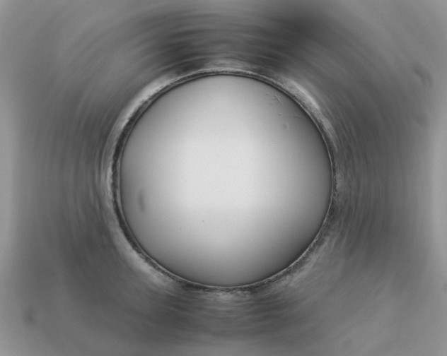 X0000113040947200909101915