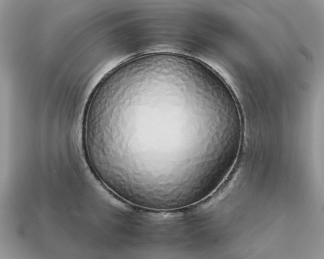 X0000113040949200909101915