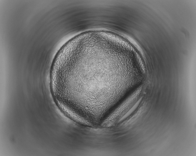 X0000113040951200909101915