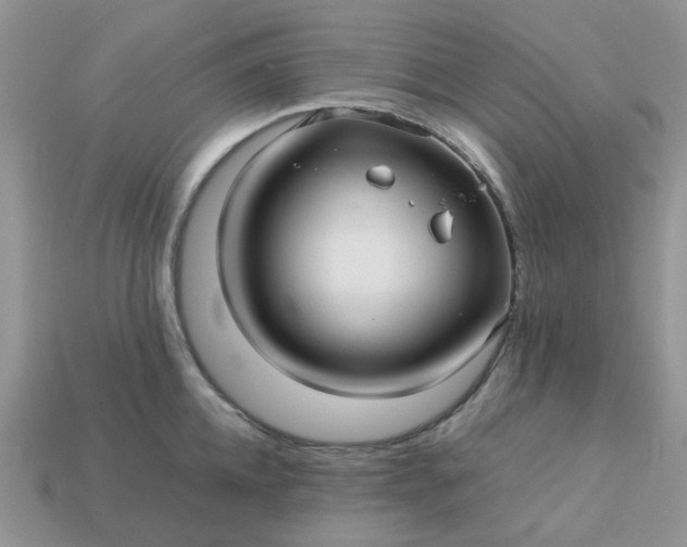 X0000113040952200909101915