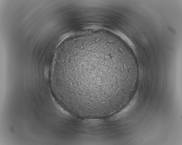 X0000113040953200909101915