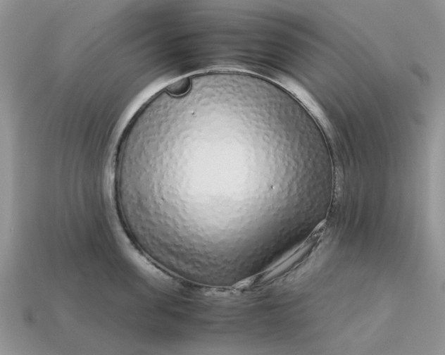 X0000113040955200909101915