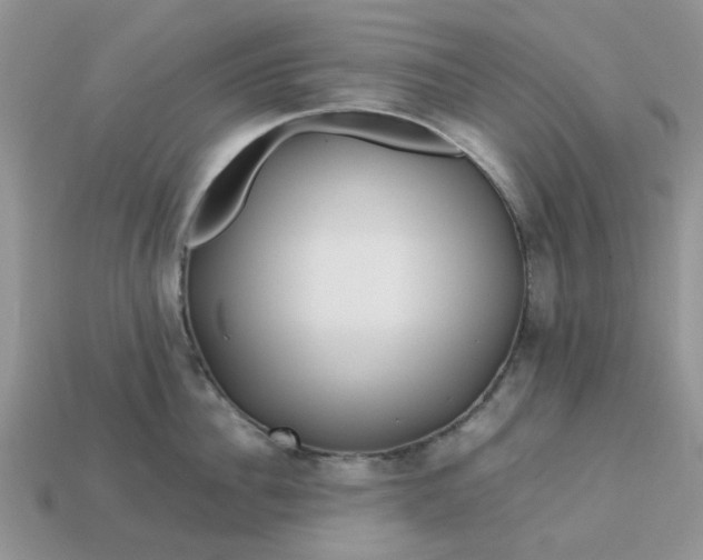 X0000113040956200909101915