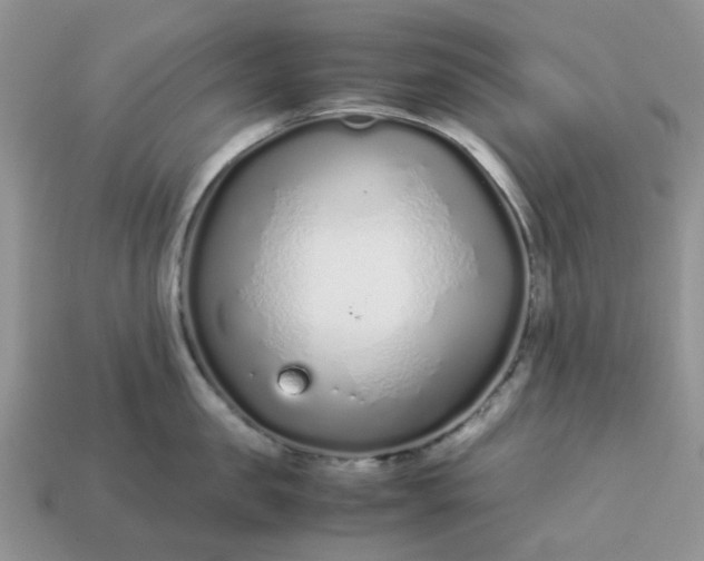 X0000113040957200909101915