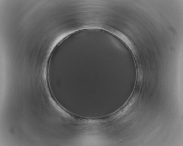 X0000113040958200909101915