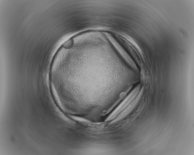 X0000113040959200909101915