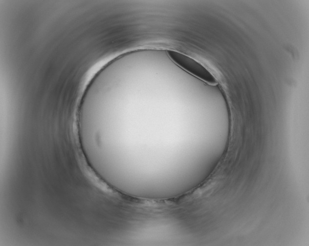 X0000113040960200909101915