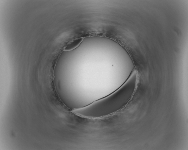 X0000113040961200909101915