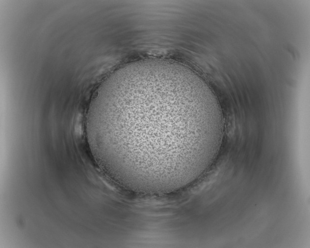 X0000113040962200909101915