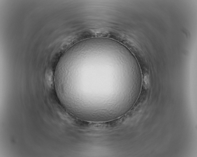 X0000113040963200909101915