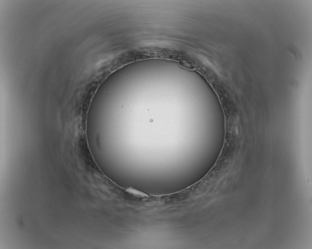 X0000113040965200909101915