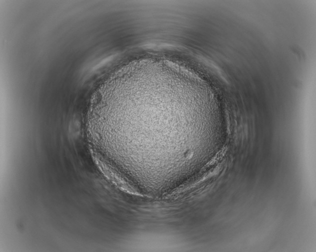 X0000113040966200909101915