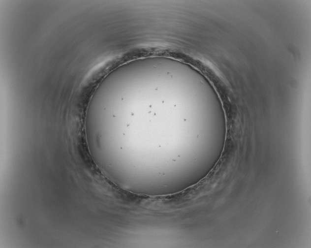 X0000113040967200909101915