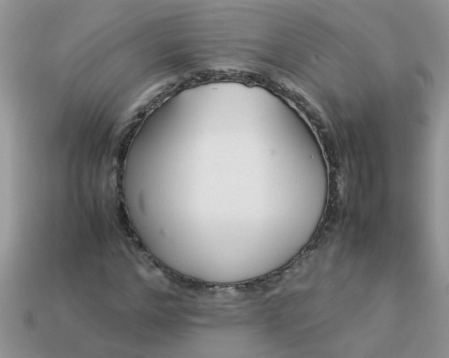 X0000113040968200909101915