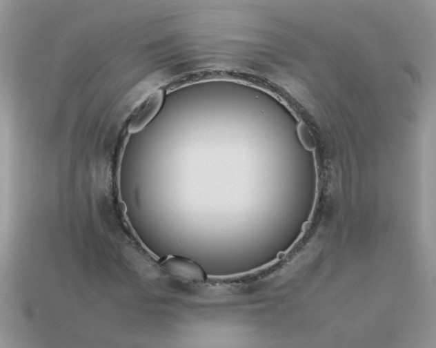 X0000113040969200909101915