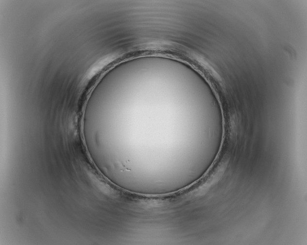 X0000113040970200909101915