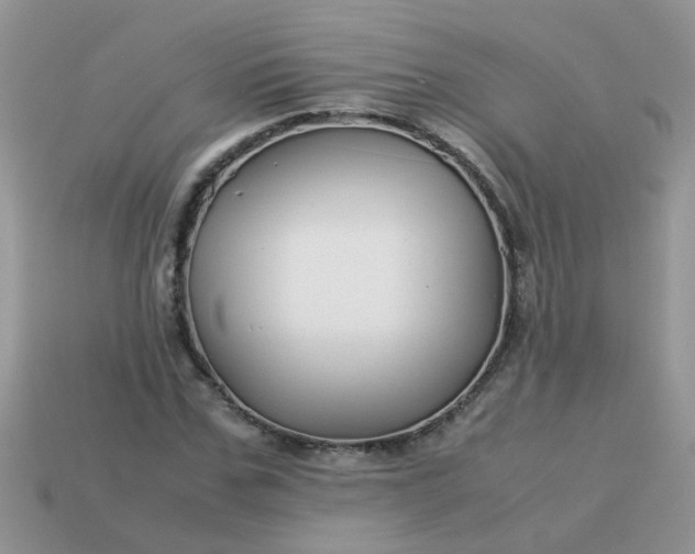 X0000113040971200909101915