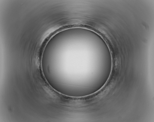 X0000113040973200909101915