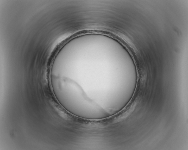 X0000113040974200909101915