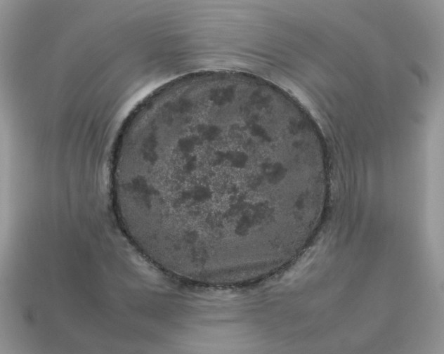 X0000113040975200909101915