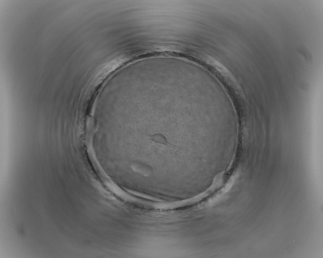 X0000113040977200909101915