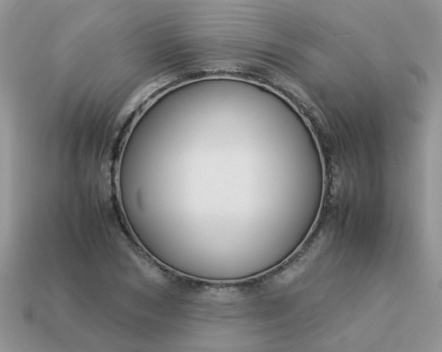 X0000113040978200909101915