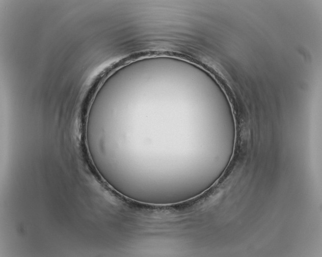 X0000113040979200909101915