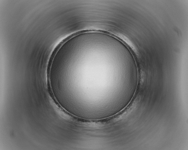 X0000113040980200909101915