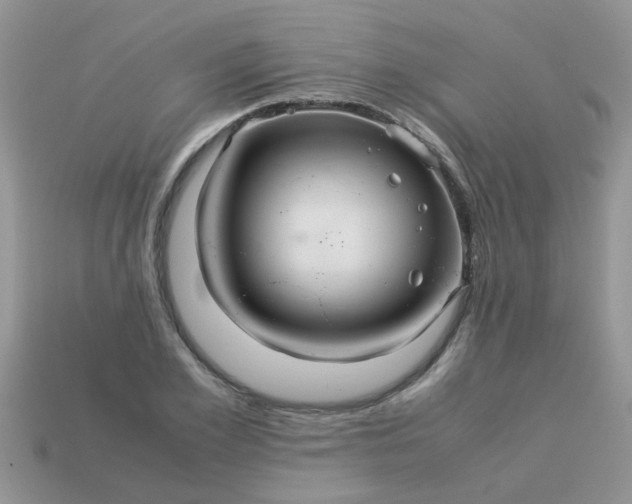 X0000113040981200909101915
