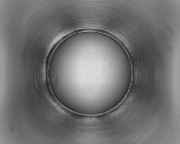 X0000113040982200909101915