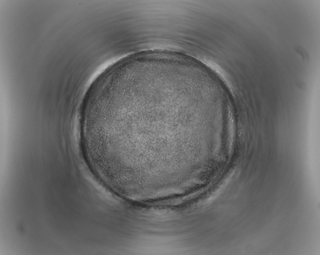 X0000113040983200909101915