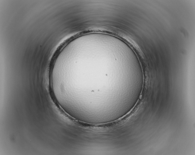 X0000113040984200909101914
