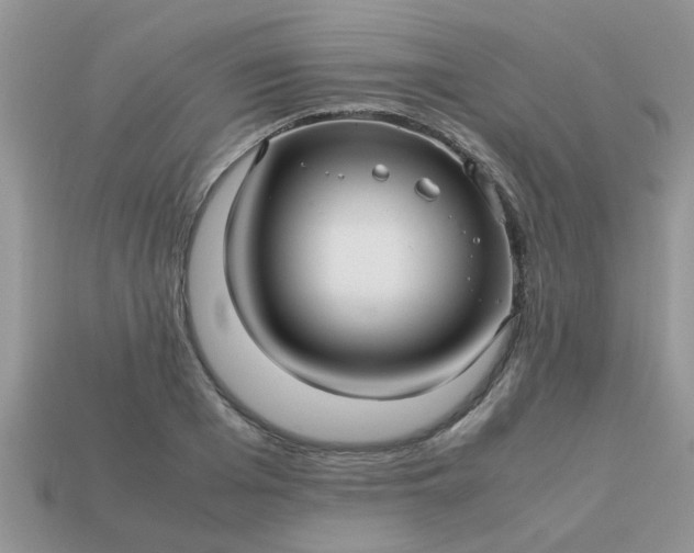 X0000113040985200909101914