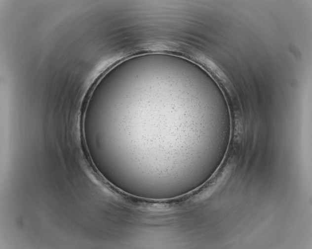 X0000113040986200909101914