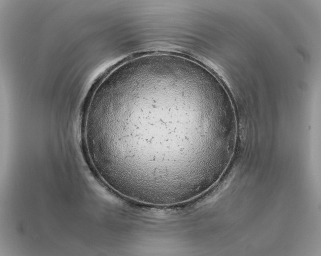 X0000113040987200909101914