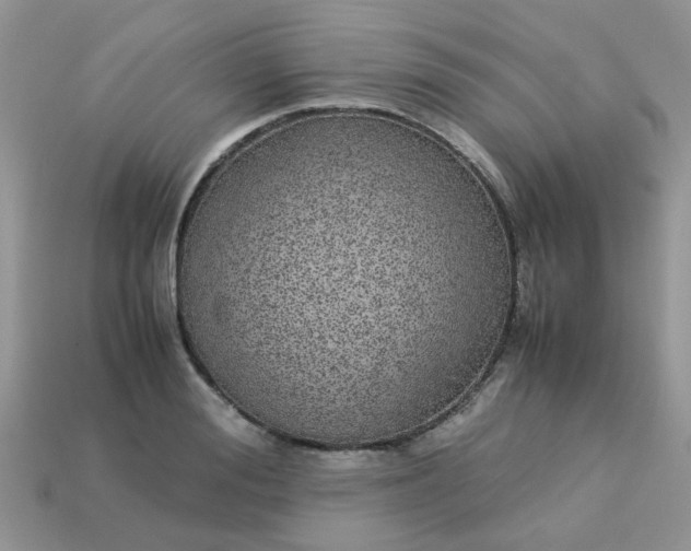 X0000113040988200909101914