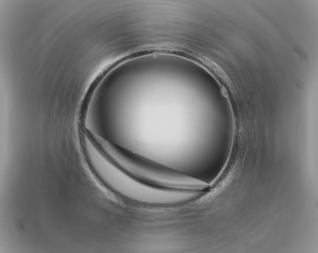 X0000113040989200909101914