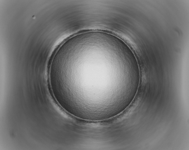 X0000113040990200909101914