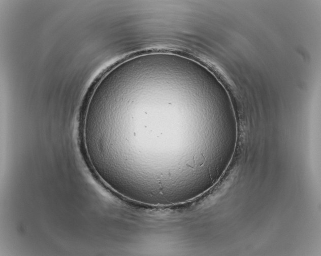 X0000113040991200909101914