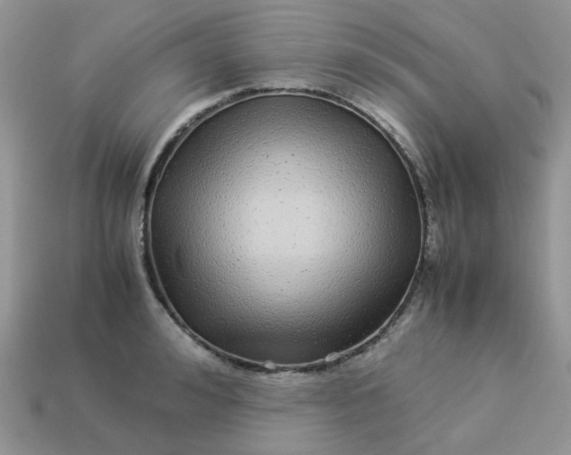 X0000113040992200909101914
