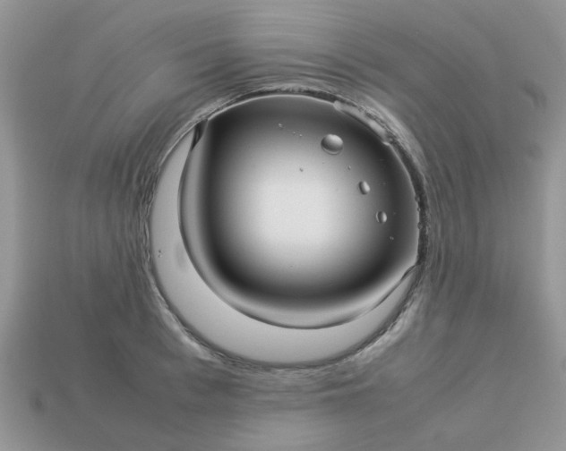 X0000113040993200909101914