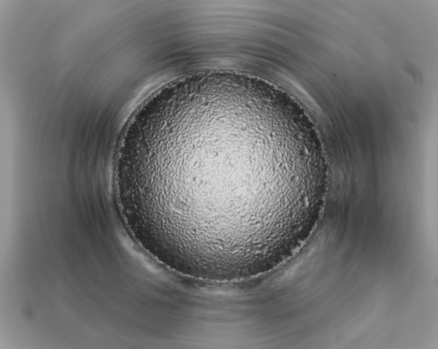 X0000113040994200909101914