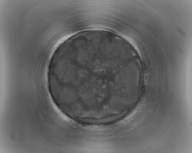 X0000113040995200909101914