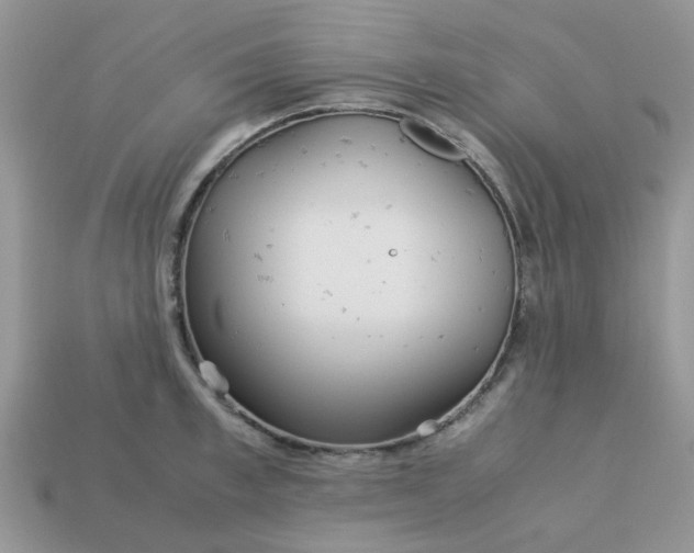 X0000113040997200909101914