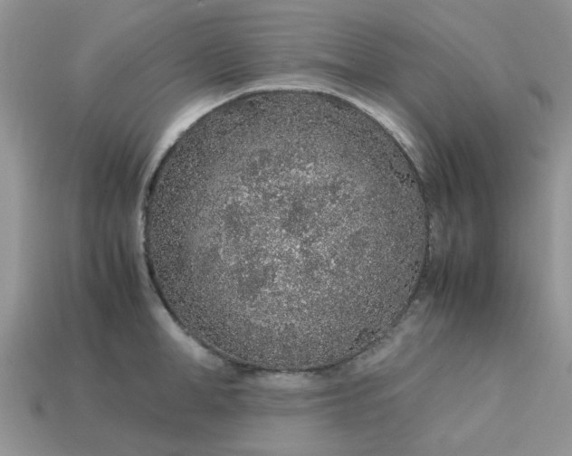 X0000113040998200909101914