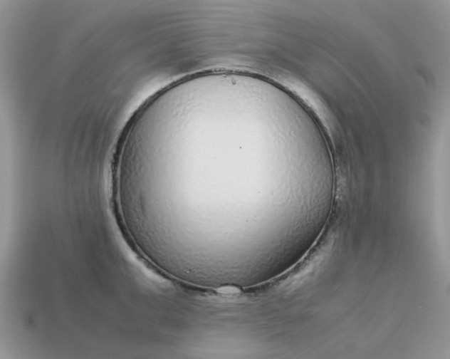 X0000113040999200909101914